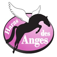 Logo CARNIERES