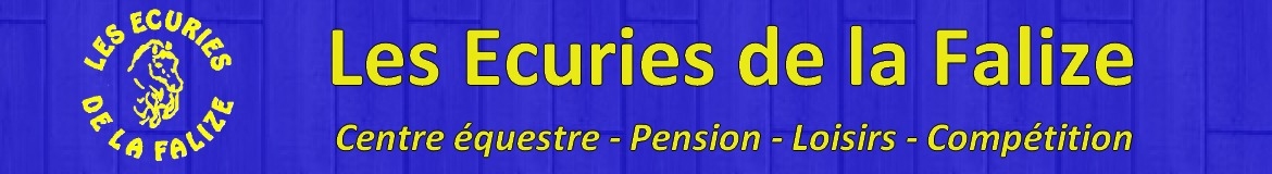 Logo AMIENS DEMUIN