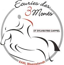 Logo SAINT SYLVESTRE CAPPEL